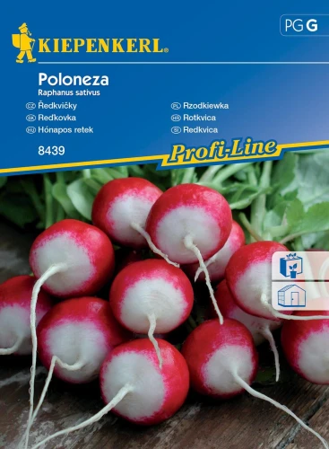 Rzodkiewka 'Poloneza' – Nasiona – Kiepenkerl - przód