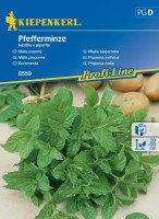 Mięta Pieprzowa Wieloletnia – Nasiona – Kiepenkerl - przód