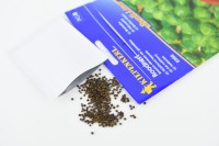 Brukselka 'Roodnerf' - nasiona