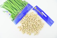 Fasola Szparagowa 'Faraday' – Odporna – Nasiona – Kiepenkerl - nasiona