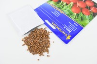 Rzodkiewka 'Saxa 3' – Bardzo Popularna – Nasiona – Kiepenkerl - nasiona