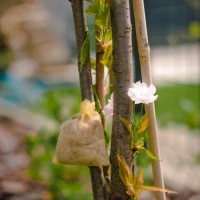 Kunagone – Odstraszacz Kotów – worek - foto1