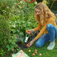Flancownik Automatyczny Sadzarka Do Cebul FH-N – Wolf Garten foto