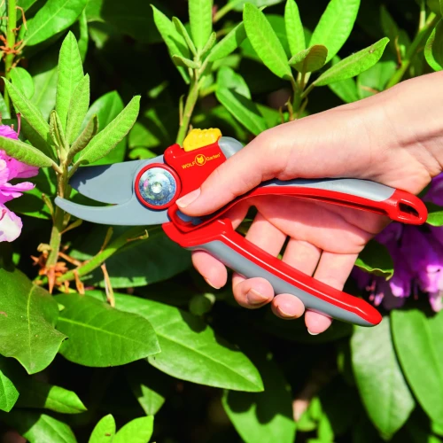 Sekator Nożycowy Dwuostrzowy Premium RR 4000 – Wolf Garten foto 2