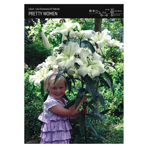 Lilia drzewiasta biała – 1 szt. – 'Pretty Women'