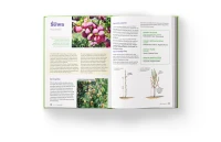 Książka Szkoła Cięcia 2 o cięciu drzew i krzewów owocowych wnetrze5