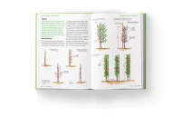 Książka Szkoła Cięcia 2 o cięciu drzew i krzewów owocowych wnetrze3