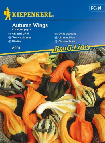 Dynia Ozdobna 'Autumn Wings' – Nasiona – Kiepenkerl przód