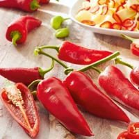 Papryka Pepperoni 'Amboy' – Nasiona – Kiepenkerl