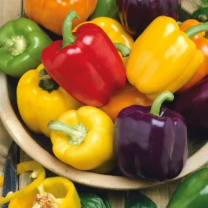 Papryka Blokowa 'Blocky Mix' – Nasiona – Kiepenkerl