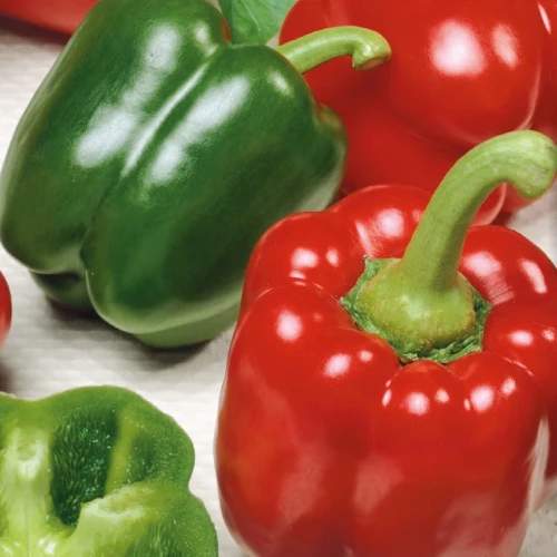 Papryka Blokowa 'Yolo Wonder' – Nasiona – Kiepenkerl