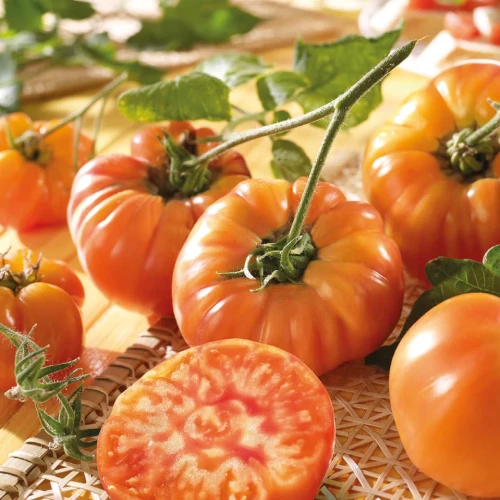 Pomidor Mięsisty 'Ananas' – Nasiona – Kiepenkerl