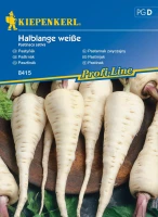 Pasternak Zwyczajny 'Halblange' – Nasiona – Kiepenkerl przod