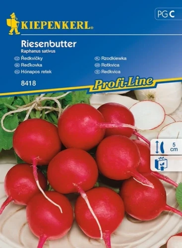 Rzodkiewka 'Riesenbutter' – Nasiona – Kiepenkerl przód