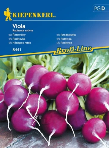 Rzodkiewka 'Viola' – Nasiona – Kiepenkerl przód