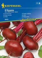 Burak Ćwikłowy 'D'Egypte' – Nasiona – Kiepenkerl przód