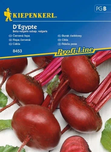 Burak Ćwikłowy 'D'Egypte' – Nasiona – Kiepenkerl przód