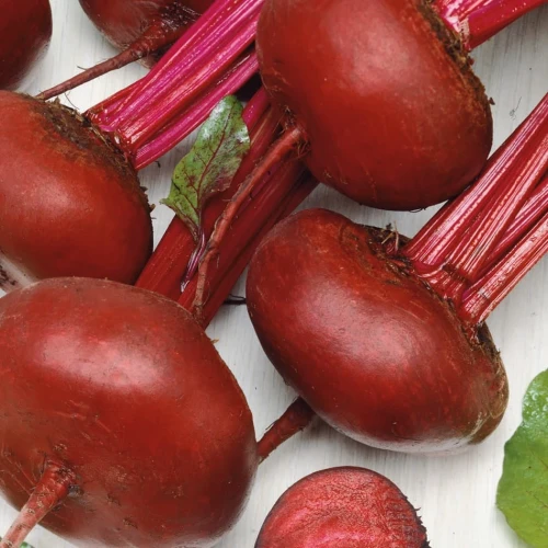 Burak Ćwikłowy 'D'Egypte' – Nasiona – Kiepenkerl