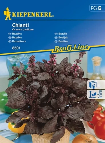 Bazylia 'Chianti' – Nasiona – Kiepenkerl przód