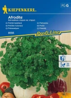 Pietruszka 'Afrodite' przód