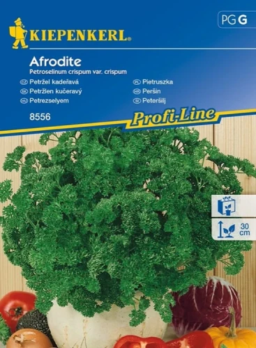 Pietruszka 'Afrodite' przód