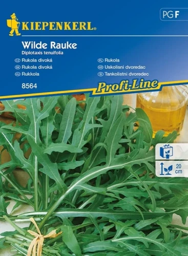 Rukola 'Wilde Rauke' – Nasiona – Kiepenkerl przód
