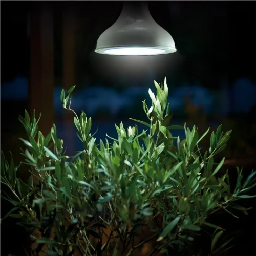 Oświetlenie Roślin Lampa LED E27, 18 W foto 1