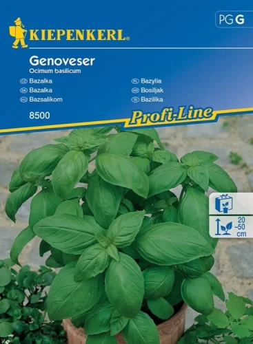 Bazylia 'Genoveser' – Nasiona – Kiepenkerl przód