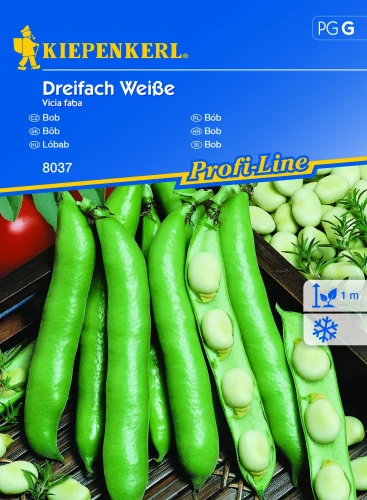 Bób 'Dreifach Weiße' – Nasiona – Kiepenkerl przód
