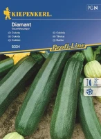 Cukinia 'Diamant' – Nasiona – Kiepenkerl przód