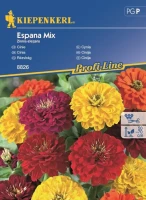 Cynia 'Espana' Mix – Nasiona – Kiepenkerl przód