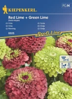 Cynia 'Red Lime + Green Lime' – Nasiona – Kiepenkerl przód