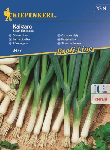 Czosnek Dęty 'Kaigaro' – Nasiona – Kiepenkerl przód