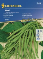 Fasola Zwykła 'Maxi' – Nasiona – Kiepenkerl przód