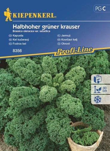 Jarmuż 'Halbhoher Grüner Krauser' – Nasiona – Kiepenkerl przód