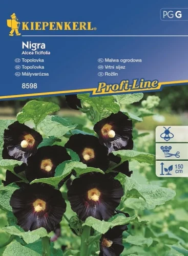 Malwa Ogrodowa 'Nigra' – Nasiona – Kiepenkerl przód