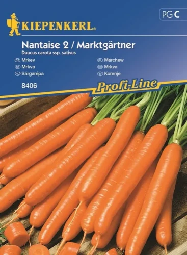 Marchew 'Nantaise 2 Marktgärtner' – Nasiona – Kiepenkerl przód