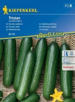 Ogórek Gruntowy 'Tristan' F1 – Nasiona – Kiepenkerl przód