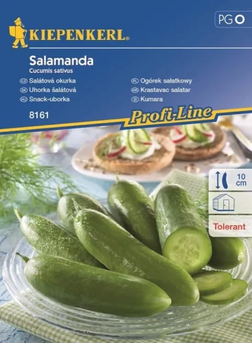 Ogórek Sałatkowy 'Salamanda' F1 – Nasiona – Kiepenkerl przód