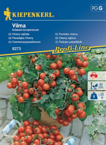 Pomidor Cherry 'Vilma' F1 – Nasiona – Kiepenkerl przód
