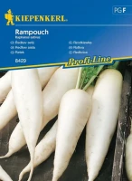 Rzodkiewka 'Rampouch' – Nasiona – Kiepenkerl przód