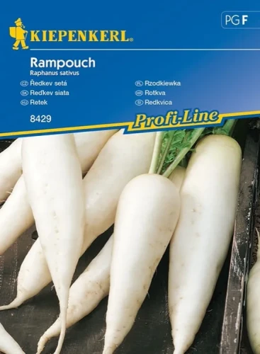 Rzodkiewka 'Rampouch' – Nasiona – Kiepenkerl przód
