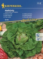 Sałata Głowiasta 'May King' – Nasiona – Kiepenkerl przód