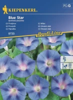 Wilec 'Blue Star' – Nasiona – Kiepenkerl przód