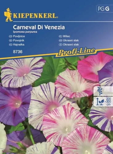 Wilec 'Carneval Di Venezia' – Nasiona – Kiepenkerl przód