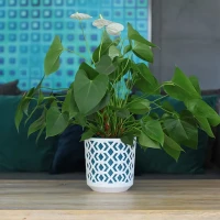 Osłonka-Doniczka Aztek foto 2