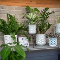 Osłonka-Doniczka Aztek foto 3