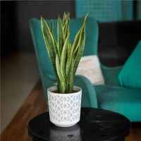 Osłonka-Doniczka Aztek foto 1