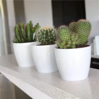 Osłonka-Doniczka Magnolia Flat foto 5