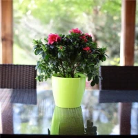 Osłonka-Doniczka Magnolia Flat foto 2